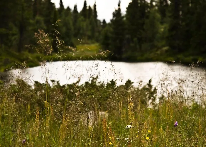 Idyllisk Casa de Férias Gol